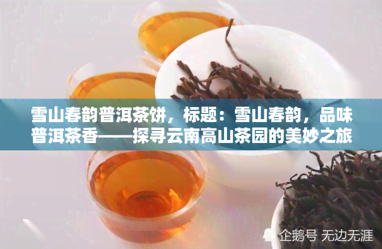 雪山春韵普洱茶饼，标题：雪山春韵，品味普洱茶香——探寻云南高山茶园的美妙之旅