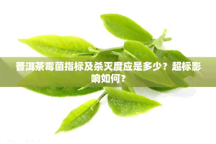 普洱茶霉菌指标及杀灭度应是多少？超标影响如何？