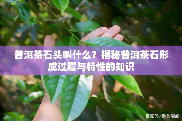 普洱茶石头叫什么？揭秘普洱茶石形成过程与特性的知识