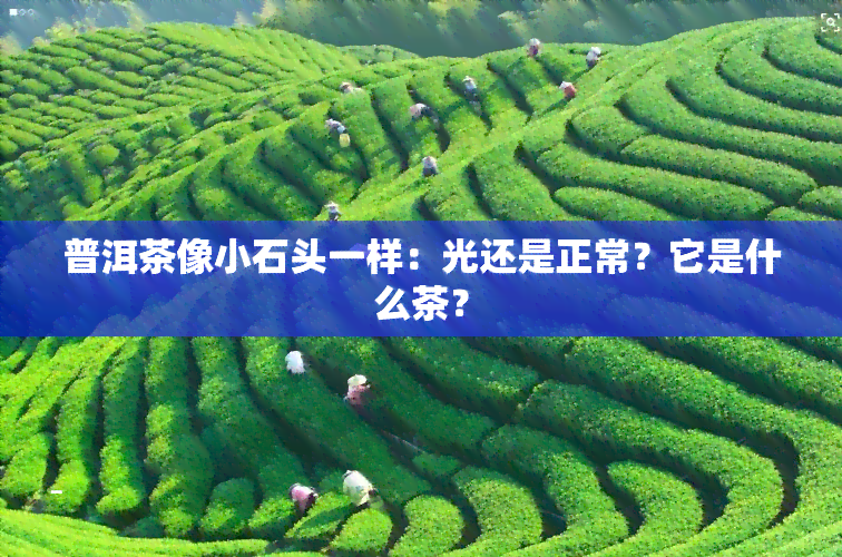 普洱茶像小石头一样：光还是正常？它是什么茶？