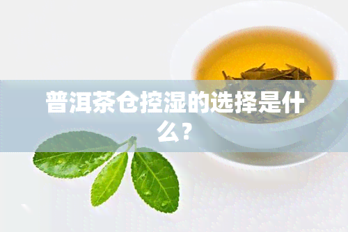 普洱茶仓控湿的选择是什么？