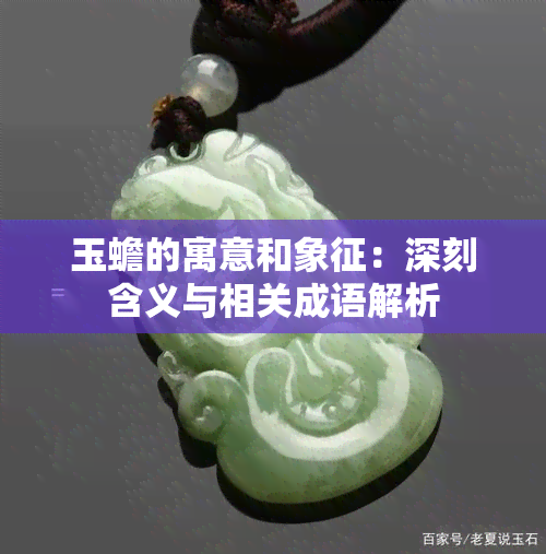 玉蟾的寓意和象征：深刻含义与相关成语解析