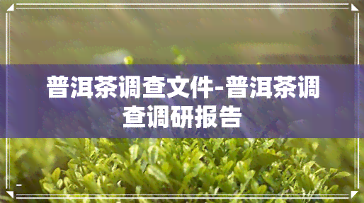 普洱茶调查文件-普洱茶调查调研报告