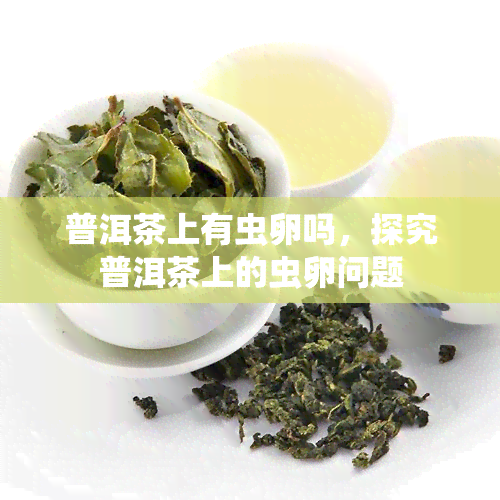 普洱茶上有虫卵吗，探究普洱茶上的虫卵问题