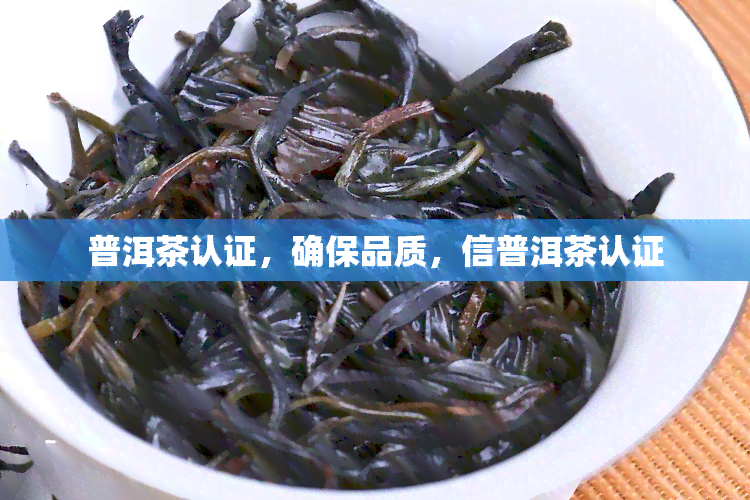 普洱茶认证，确保品质，信普洱茶认证