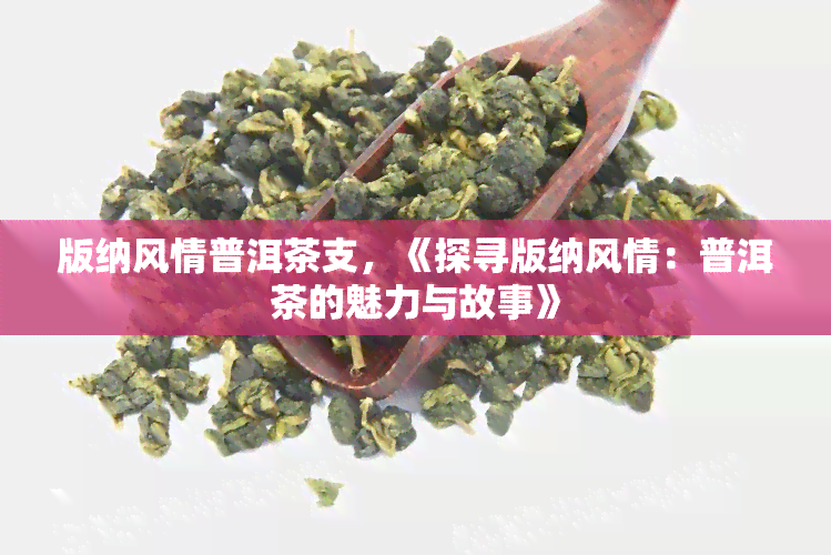 版纳风情普洱茶支，《探寻版纳风情：普洱茶的魅力与故事》