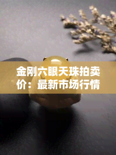 金刚六眼天珠拍卖价：最新市场行情与价值解析