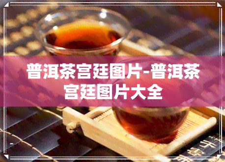 普洱茶宫廷图片-普洱茶宫廷图片大全