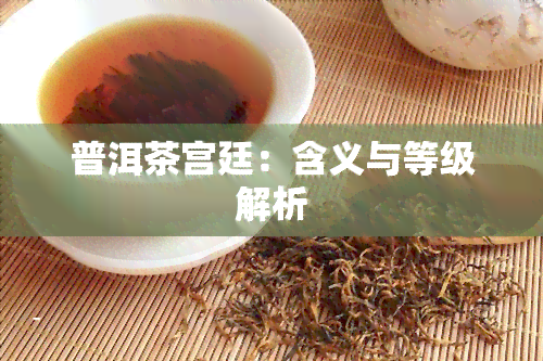 普洱茶宫廷：含义与等级解析