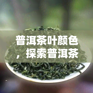 普洱茶叶颜色，探索普洱茶叶的独特魅力：颜色的奥秘与品质的关系