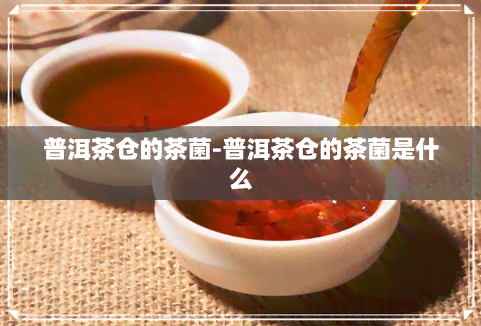 普洱茶仓的茶菌-普洱茶仓的茶菌是什么