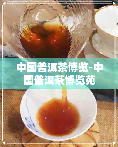 中国普洱茶博览-中国普洱茶博览苑