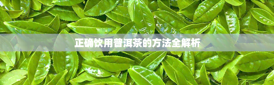 正确饮用普洱茶的方法全解析