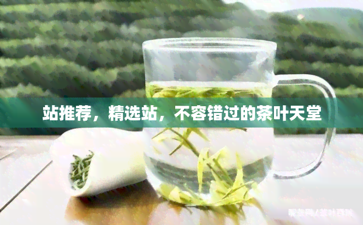 站推荐，精选站，不容错过的茶叶天堂