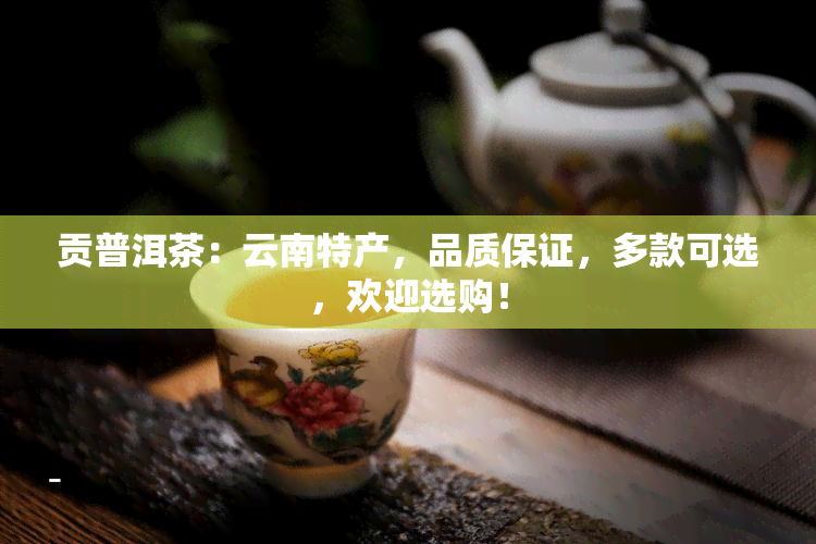 贡普洱茶：云南特产，品质保证，多款可选，欢迎选购！