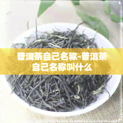 普洱茶自己名称-普洱茶自己名称叫什么