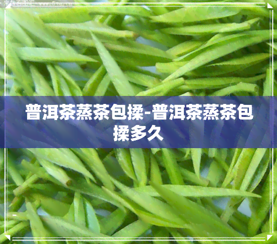 普洱茶蒸茶包揉-普洱茶蒸茶包揉多久