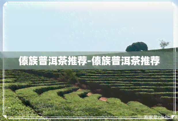 傣族普洱茶推荐-傣族普洱茶推荐