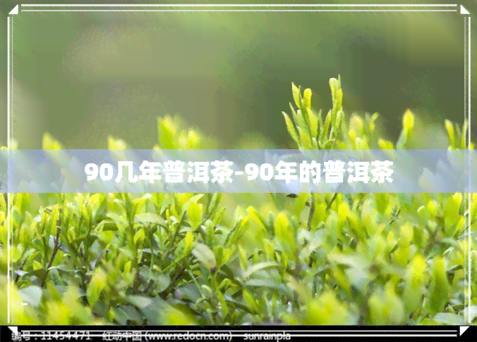 90几年普洱茶-90年的普洱茶