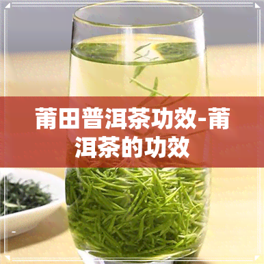 莆田普洱茶功效-莆洱茶的功效