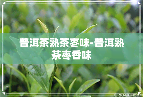 普洱茶熟茶枣味-普洱熟茶枣香味