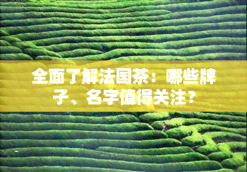 全面了解法国茶：哪些牌子、名字值得关注？