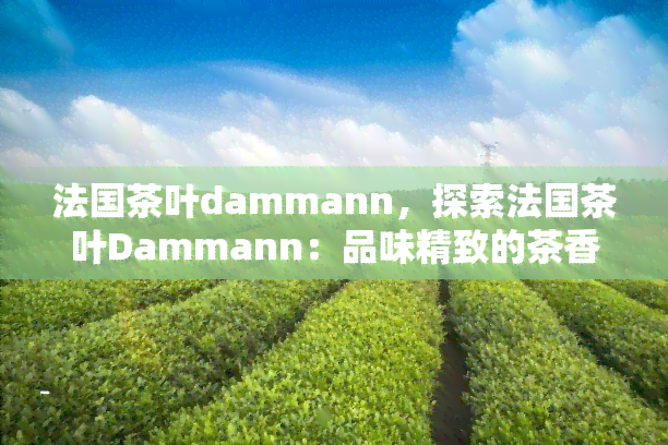 法国茶叶dammann，探索法国茶叶Dammann：品味精致的茶香与历韵味