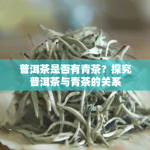 普洱茶是否有青茶？探究普洱茶与青茶的关系