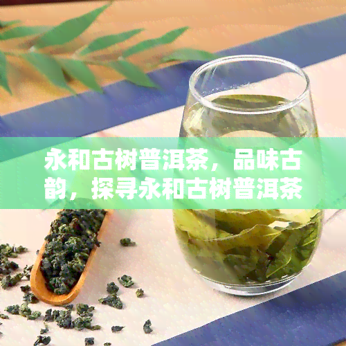 永和古树普洱茶，品味古韵，探寻永和古树普洱茶的独特魅力