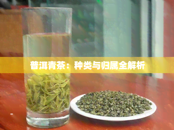 普洱青茶：种类与归属全解析