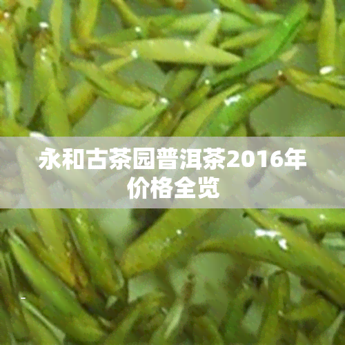 永和古茶园普洱茶2016年价格全览