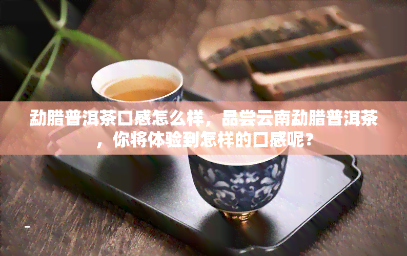 勐腊普洱茶口感怎么样，品尝云南勐腊普洱茶，你将体验到怎样的口感呢？