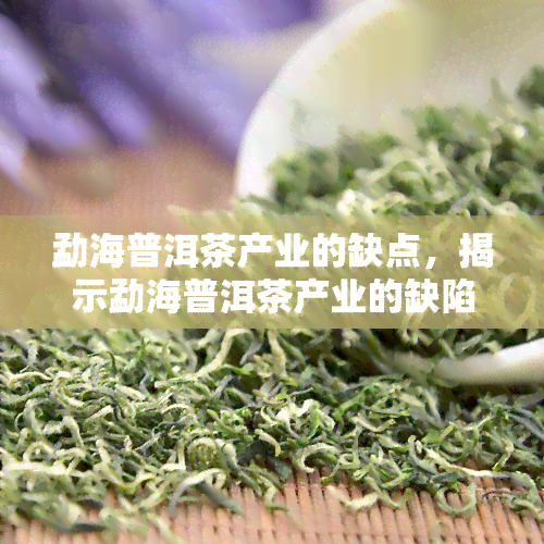 勐海普洱茶产业的缺点，揭示勐海普洱茶产业的缺陷与挑战