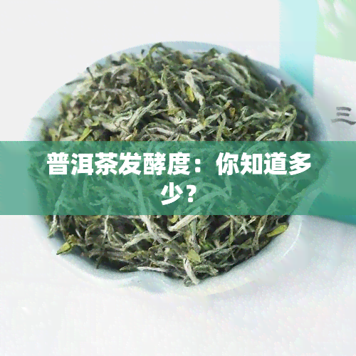 普洱茶发酵度：你知道多少？