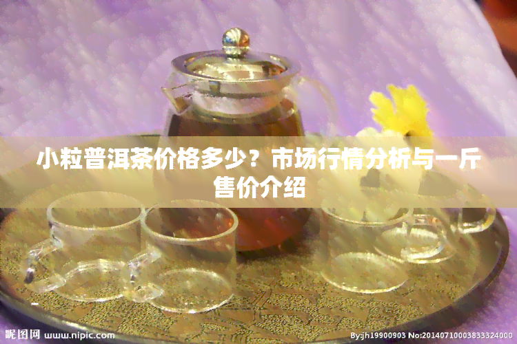 小粒普洱茶价格多少？市场行情分析与一斤售价介绍