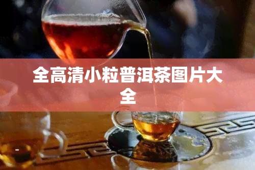 全高清小粒普洱茶图片大全