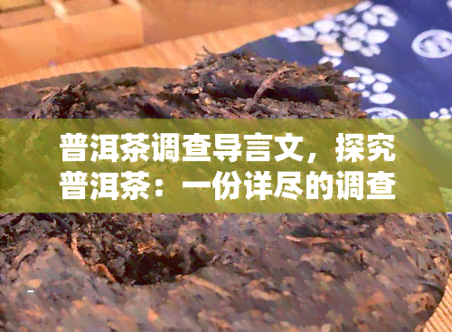 普洱茶调查导言文，探究普洱茶：一份详尽的调查导言