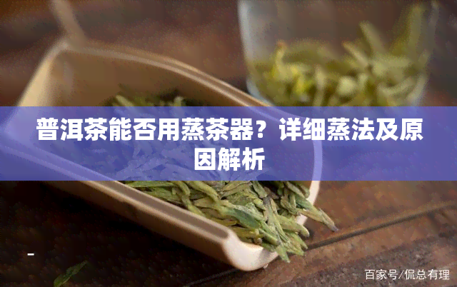 普洱茶能否用蒸茶器？详细蒸法及原因解析