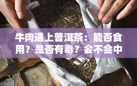 牛肉遇上普洱茶：能否食用？是否有？会不会中？