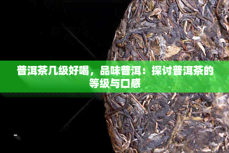 普洱茶几级好喝，品味普洱：探讨普洱茶的等级与口感