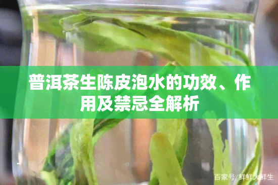 普洱茶生陈皮泡水的功效、作用及禁忌全解析