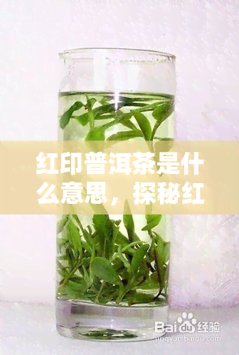 红印普洱茶是什么意思，探秘红印普洱茶：含义与特点解析