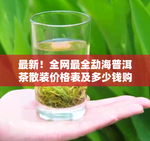 最新！全网最全勐海普洱茶散装价格表及多少钱购买指南