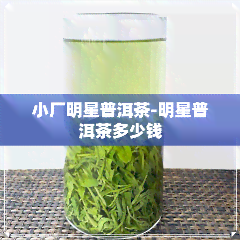 小厂明星普洱茶-明星普洱茶多少钱