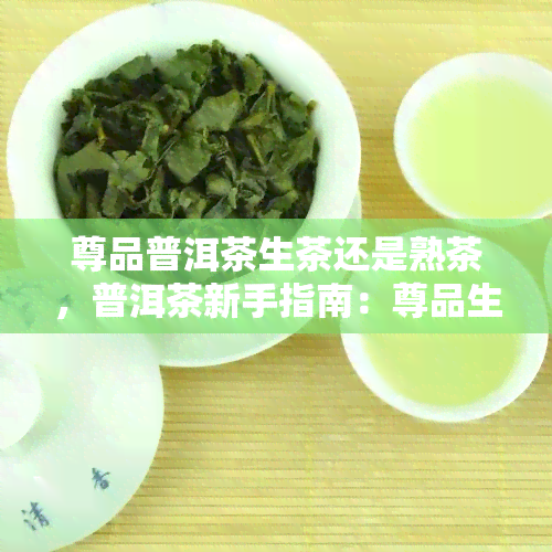 尊品普洱茶生茶还是熟茶，普洱茶新手指南：尊品生茶与熟茶的比较与选择