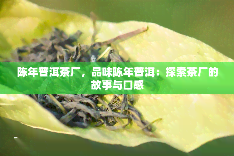 陈年普洱茶厂，品味陈年普洱：探索茶厂的故事与口感