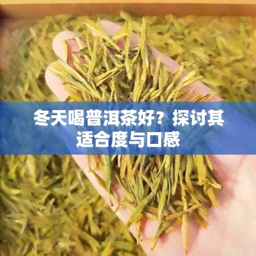 冬天喝普洱茶好？探讨其适合度与口感