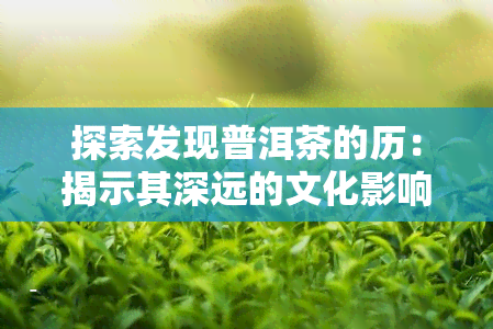 探索发现普洱茶的历：揭示其深远的文化影响与独特的英语表达