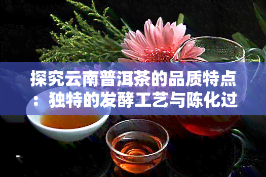 探究云南普洱茶的品质特点：独特的发酵工艺与陈化过程