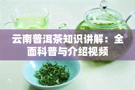 云南普洱茶知识讲解：全面科普与介绍视频